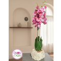 Orchid in Kaya (Artificial)