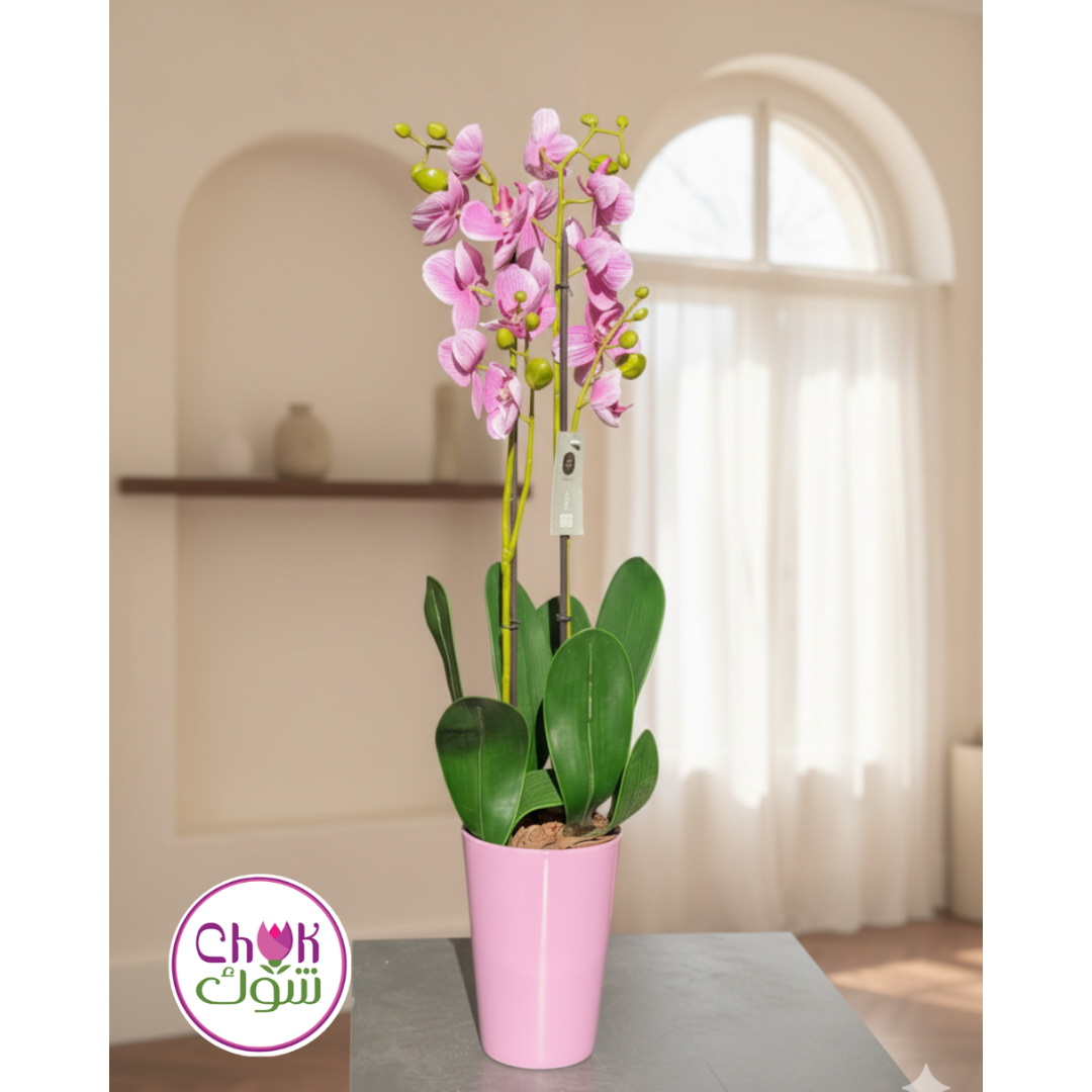 Orchid Artificial in Vase (Artificial)