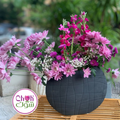 Olga Vase