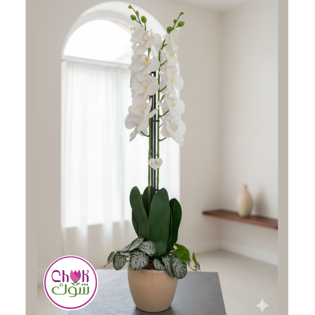 White Orchid in Ceramic Vase (Artificial)