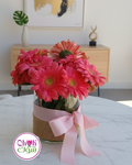 Elegant Pink Gerberas in a Vase