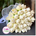 Bridal Bouquet - Tulips