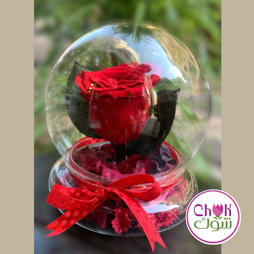 Eternal Rose - Small - glass base