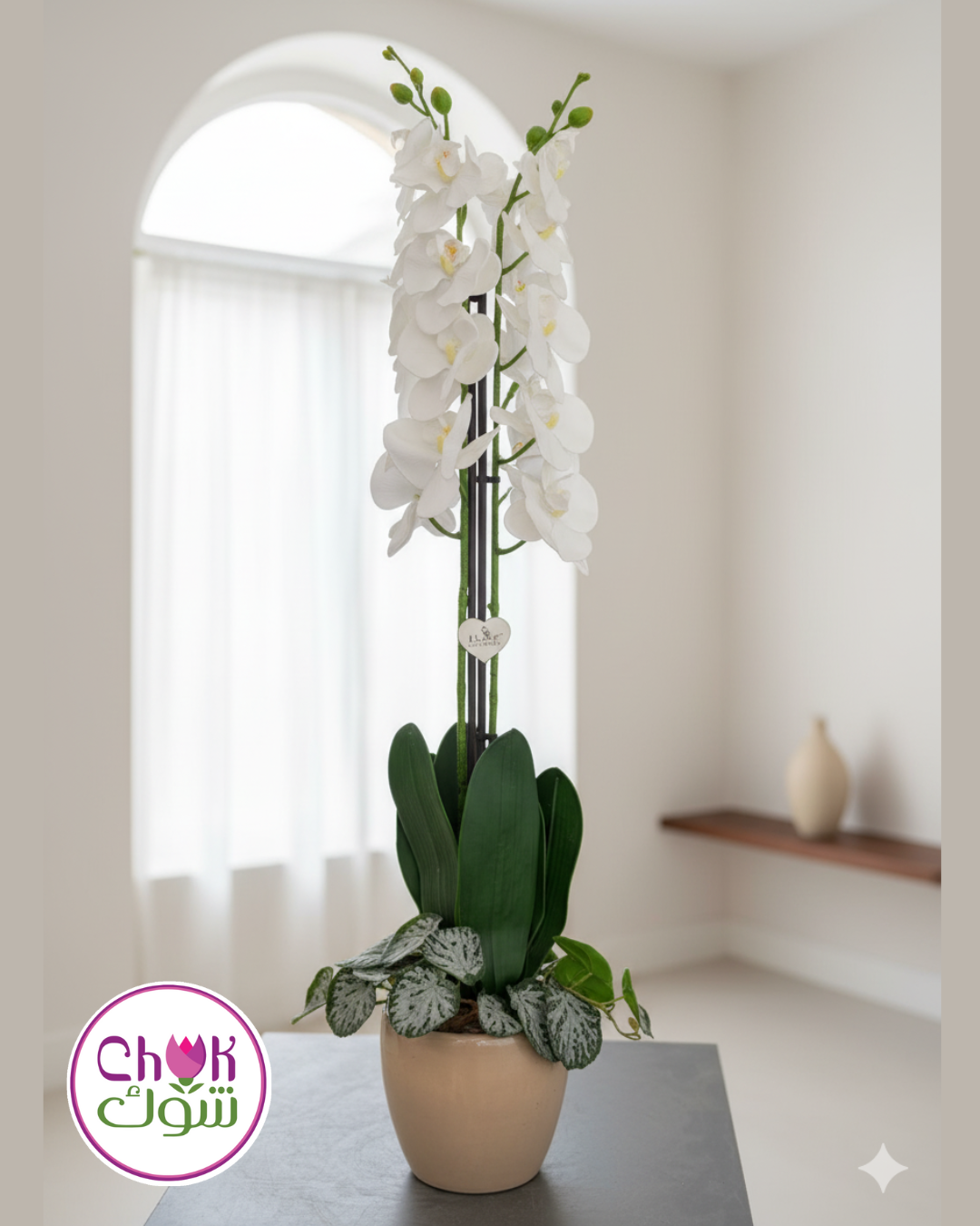 White Orchid in Ceramic Vase