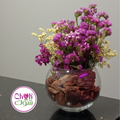 Tina Arrangement
